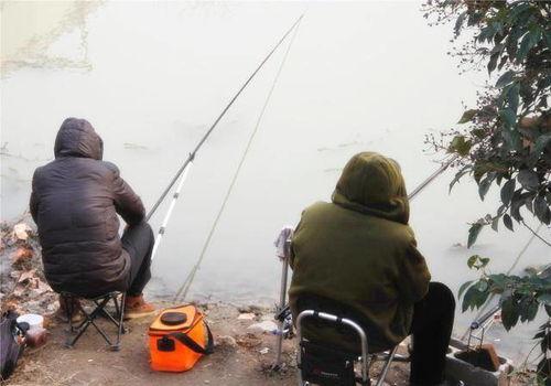 钓鱼爆料视频,视频爆料钓鱼技巧大公开